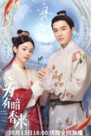 ซีรี่ย์จีน Scent Of Time 2023 ขจรรักนิรันดร์กาล ซับไทย