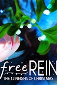 Free Rein: The Twelve Neighs of Christmas ฟรีเรน สิบสองวันหรรษาก่อนคริสต์มาส