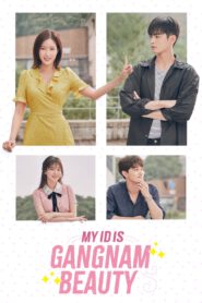 My ID Is Gangnam Beauty ซับไทย (จบ)
