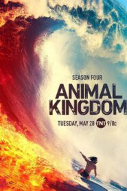 Animal Kingdom Season 4 (2019) แอนิมอล คิงดอม 4