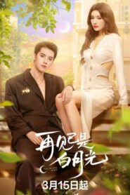 ซีรี่ย์จีน Fall in Love Again (2024) คำลาคือแสงจันทร์ ซับไทย