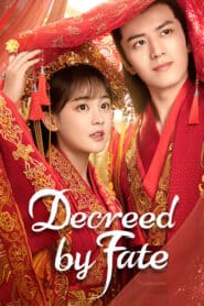 Decreed by Fate (2022) ท่านหญิง อย่าชิงหย่ากับข้า