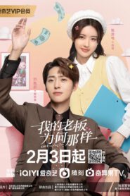 Love Me Like I Do (2023) สะดุดรักมัดใจบอส ซับไทย (จบ)
