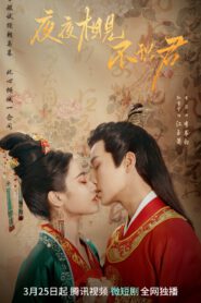 My Decoy Bride (2023) เจ้าสาวข้าเป็นนักฆ่าอันดับหนึ่ง พากย์ไทย (จบ)