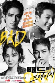 ซีรี่ย์เกาหลี Bad and Crazy ซับไทย (จบ)