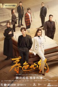 Twilight (2023) ผูกหัวใจรักสีหม่น ซับไทย