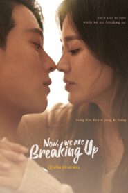 Now, We Are Breaking Up