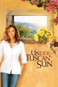 Under the Tuscan Sun ทัซคานี่ อาบรักแดนสวรรค์ (2003)