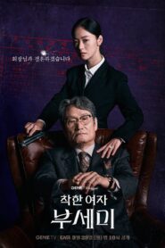 ซีรี่ย์เกาหลี Ms.Incognito (2025) ภารกิจลับบอดี้การ์ดสาว ซับไทย