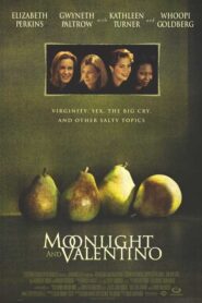 Moonlight & Valentino (1995)